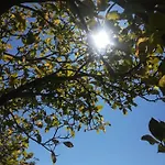 La Stella Delle Alpi 4*
