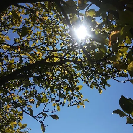 La Stella Delle Alpi 4*