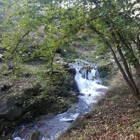 La Stella Delle Alpi Vico Canavese