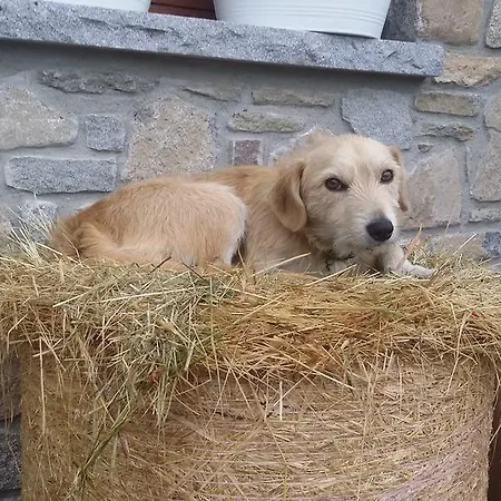 Πανσιόν La Stella Delle Alpi 4*