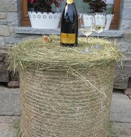 La Stella Delle Alpi Vico Canavese