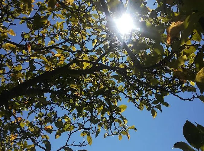 La Stella Delle Alpi 4*