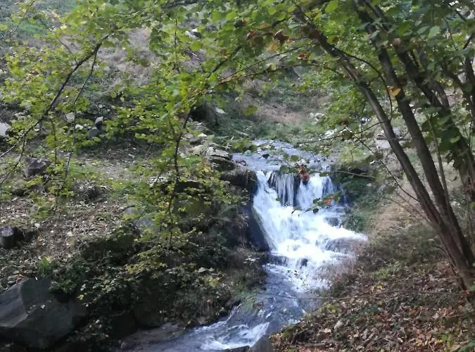 La Stella Delle Alpi Vico Canavese