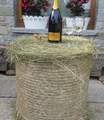 La Stella Delle Alpi Vico Canavese